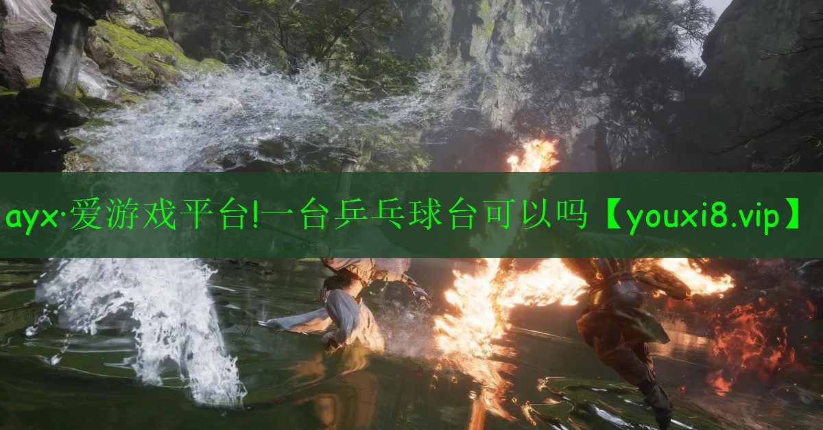 ayx·愛游戲平臺!一臺乒乓球臺可以嗎
