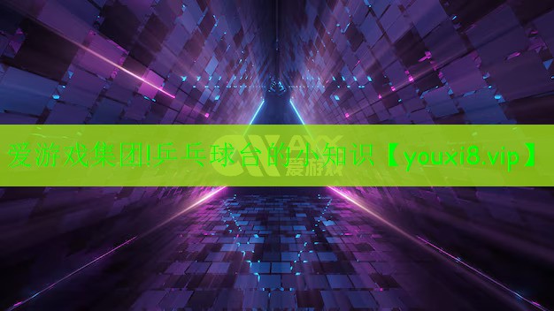 愛游戲集團!乒乓球臺的小知識