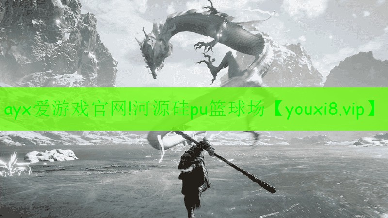 ayx愛游戲官網(wǎng)!河源硅pu籃球場