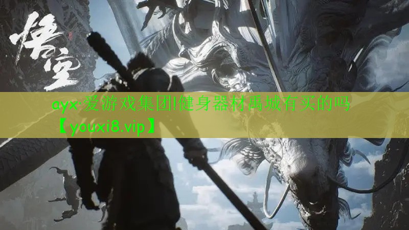 ayx·愛游戲集團!健身器材禹城有買的嗎