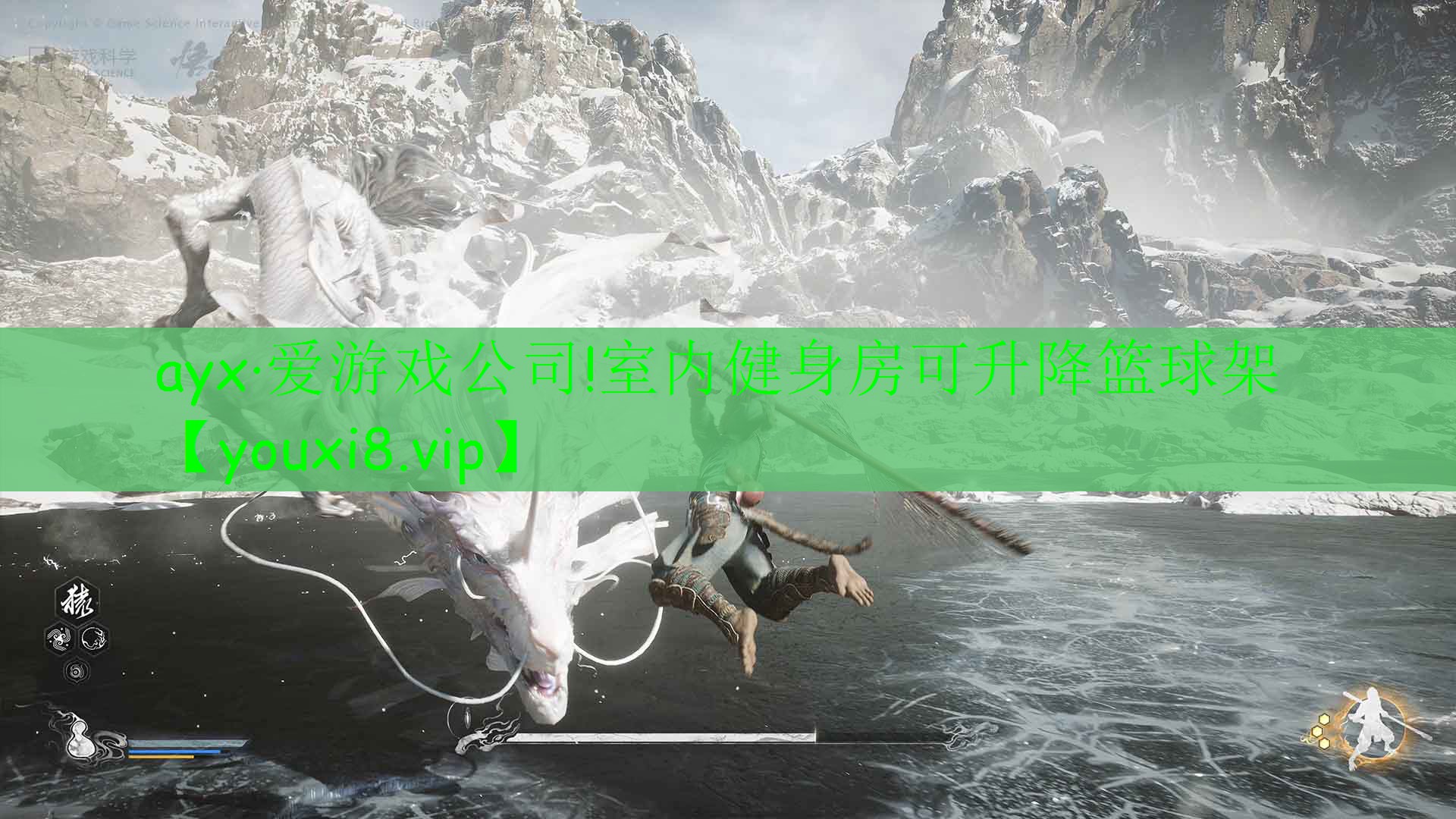 ayx·愛游戲公司!室內健身房可升降籃球架