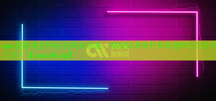 ayx愛(ài)游戲官網(wǎng)!從結(jié)構(gòu)到功能，揭秘標(biāo)準(zhǔn)單杠和普通單杠的不同之處！