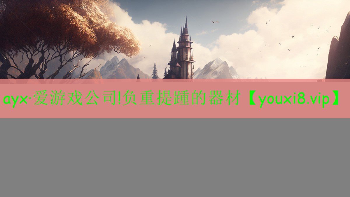 ayx·愛(ài)游戲公司!負(fù)重提踵的器材