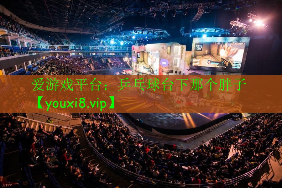 乒乓球臺下那個胖子 乒乓球臺下那個胖子