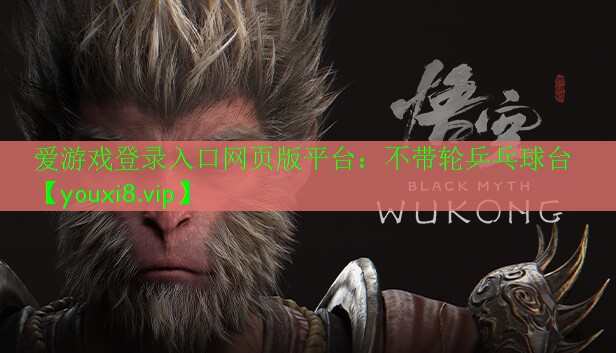 不帶輪乒乓球臺(tái) 不帶輪乒乓球臺(tái)