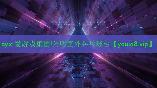 公明室外乒乓球臺(tái) 公明室外乒乓球臺(tái)
