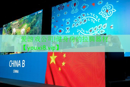 健身房的拉胸器材 健身房的拉胸器材