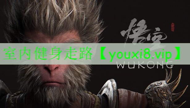 室內(nèi)健身走路 室內(nèi)健身走路