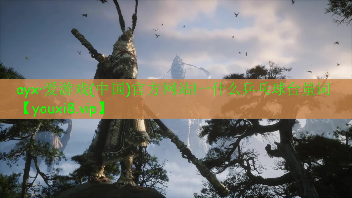 一什么乒乓球臺(tái)量詞 一什么乒乓球臺(tái)量詞